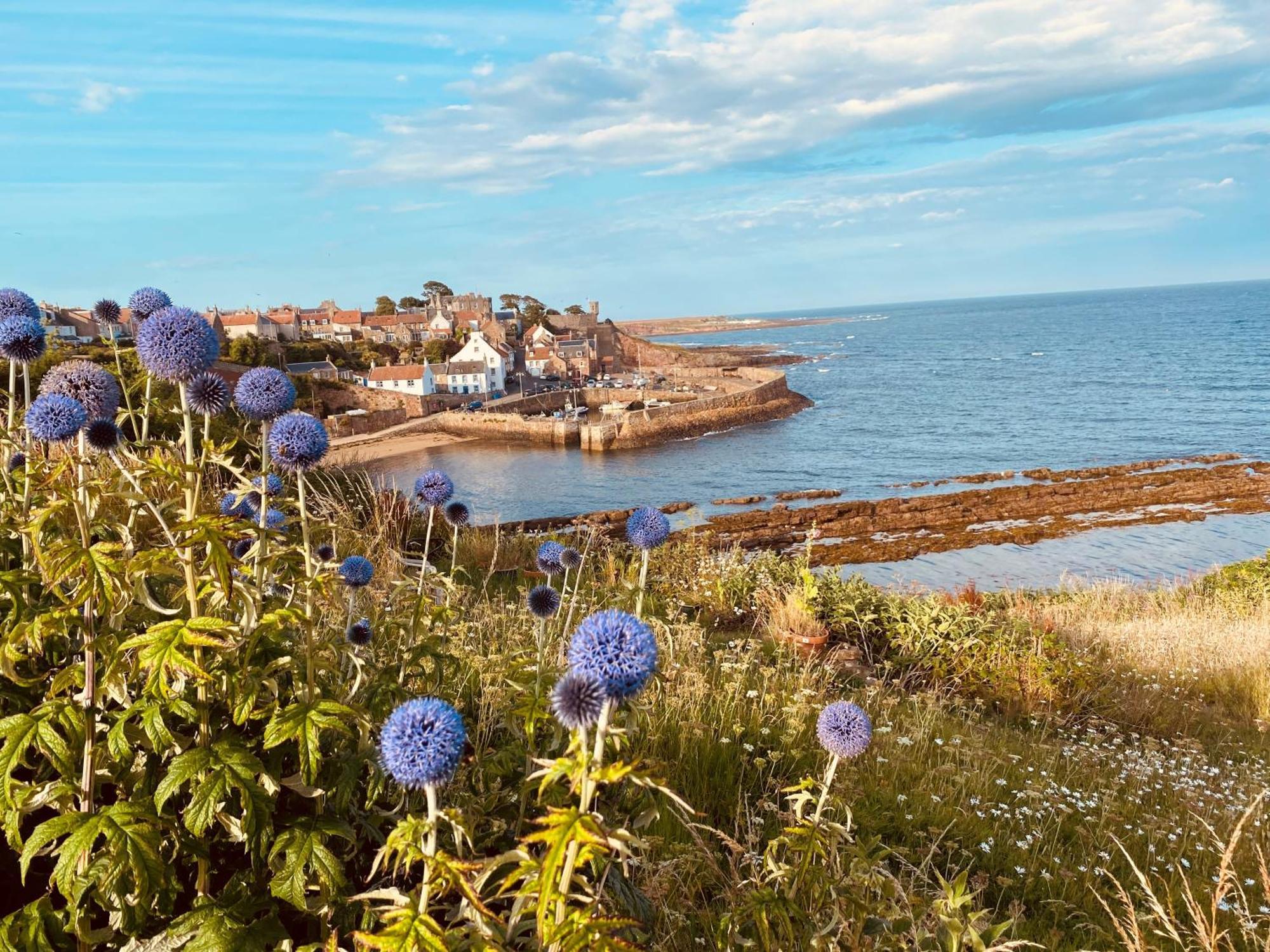 Apartament Seagull'S Rest Crail Zewnętrze zdjęcie